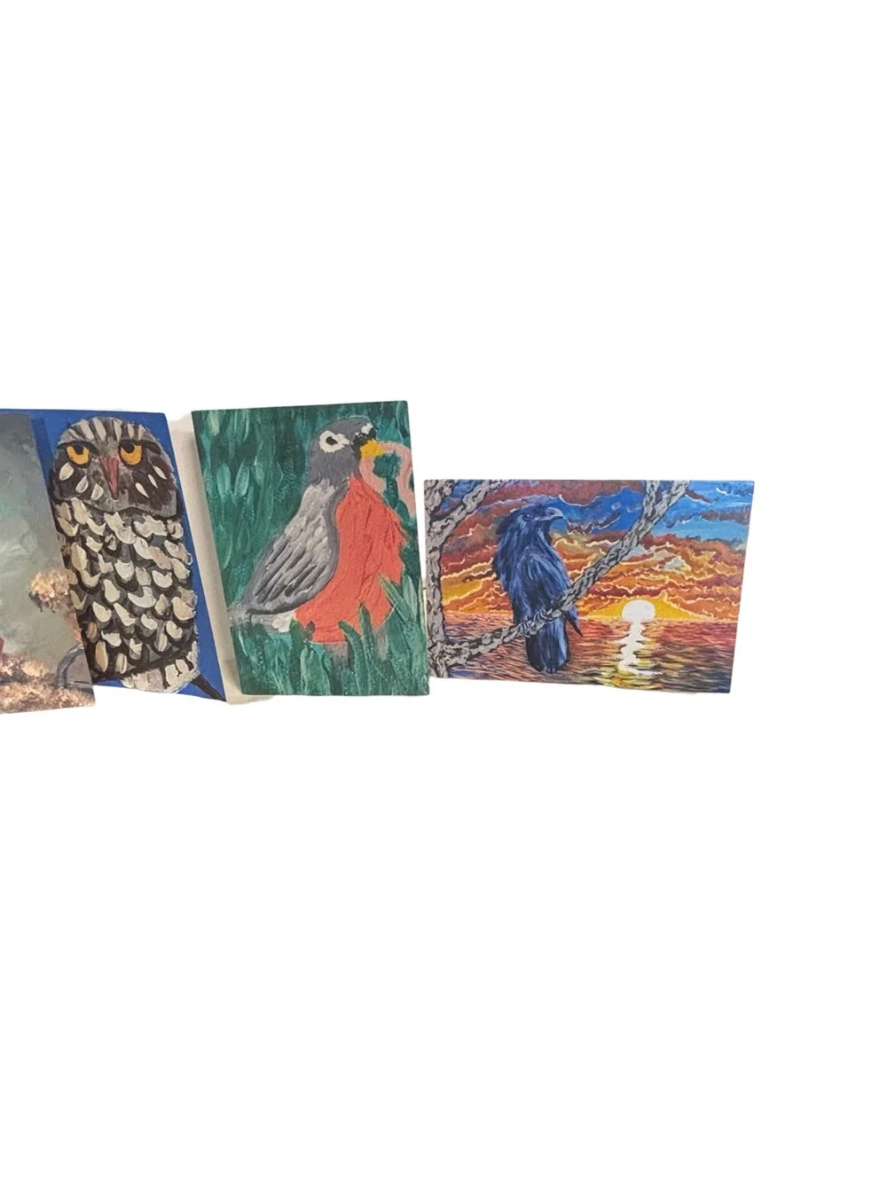Birds of Wonder Greeting Card Set of 5 by Briefcase Artist